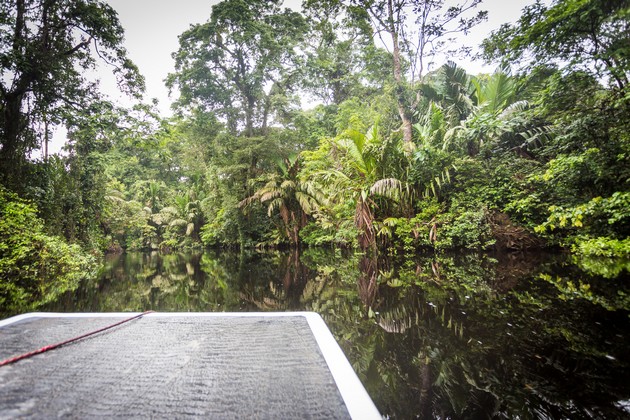 Rivière parc national Tortuguero, Costa Rica
