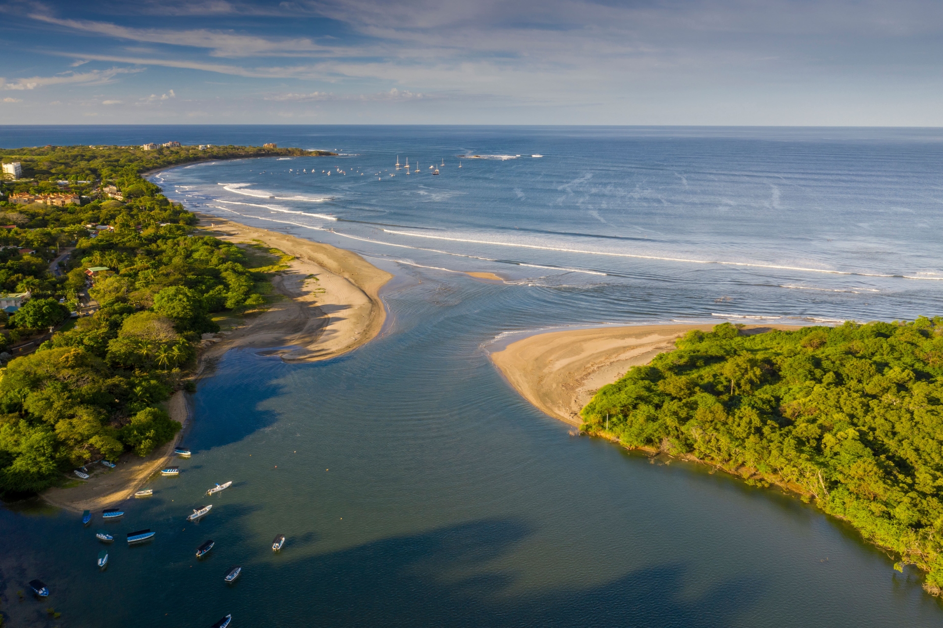 Tamarindo