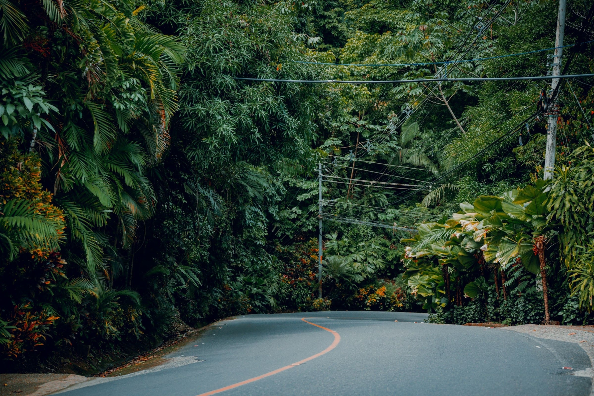 Manuel Antonio route