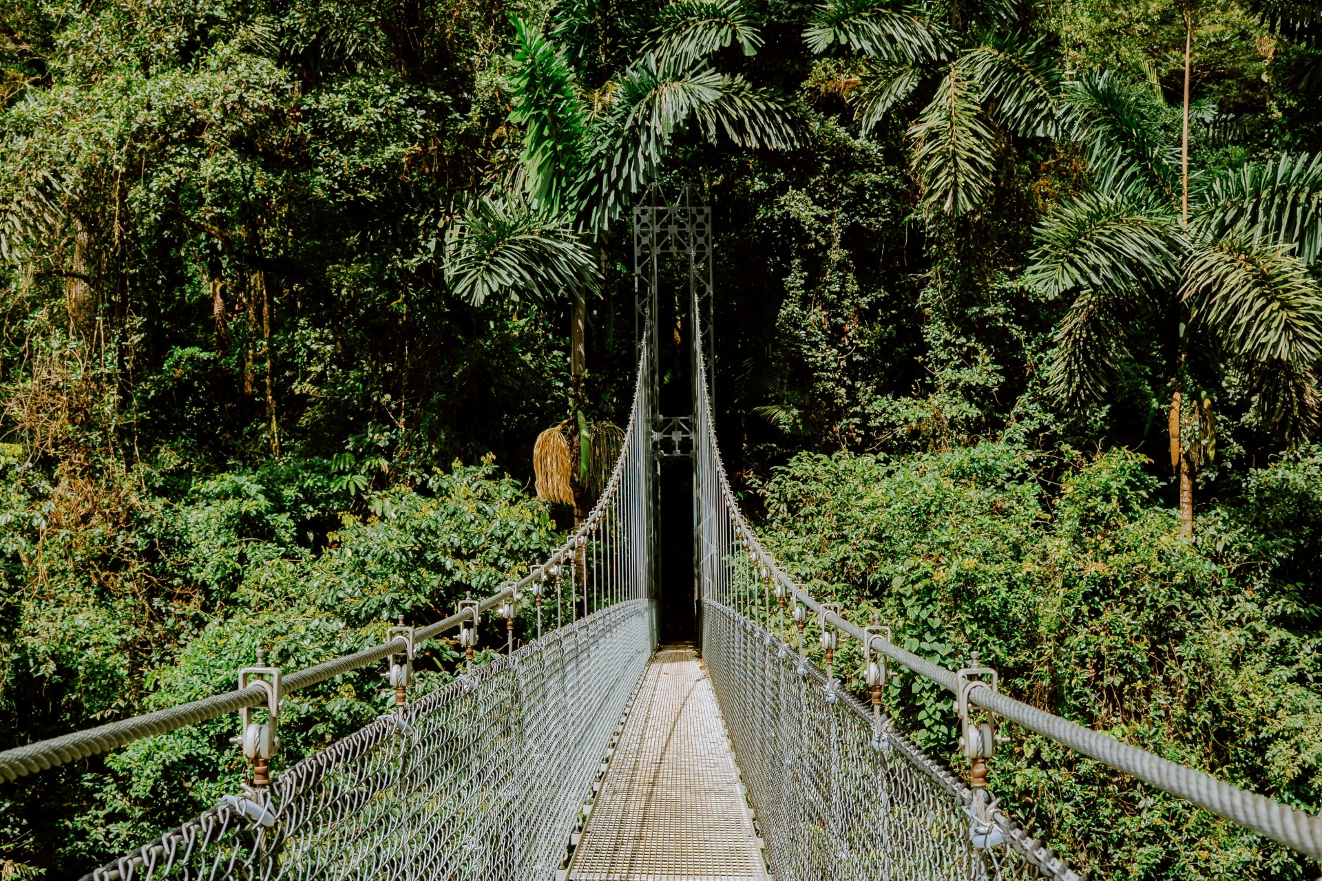 Alajuela, La Fortuna