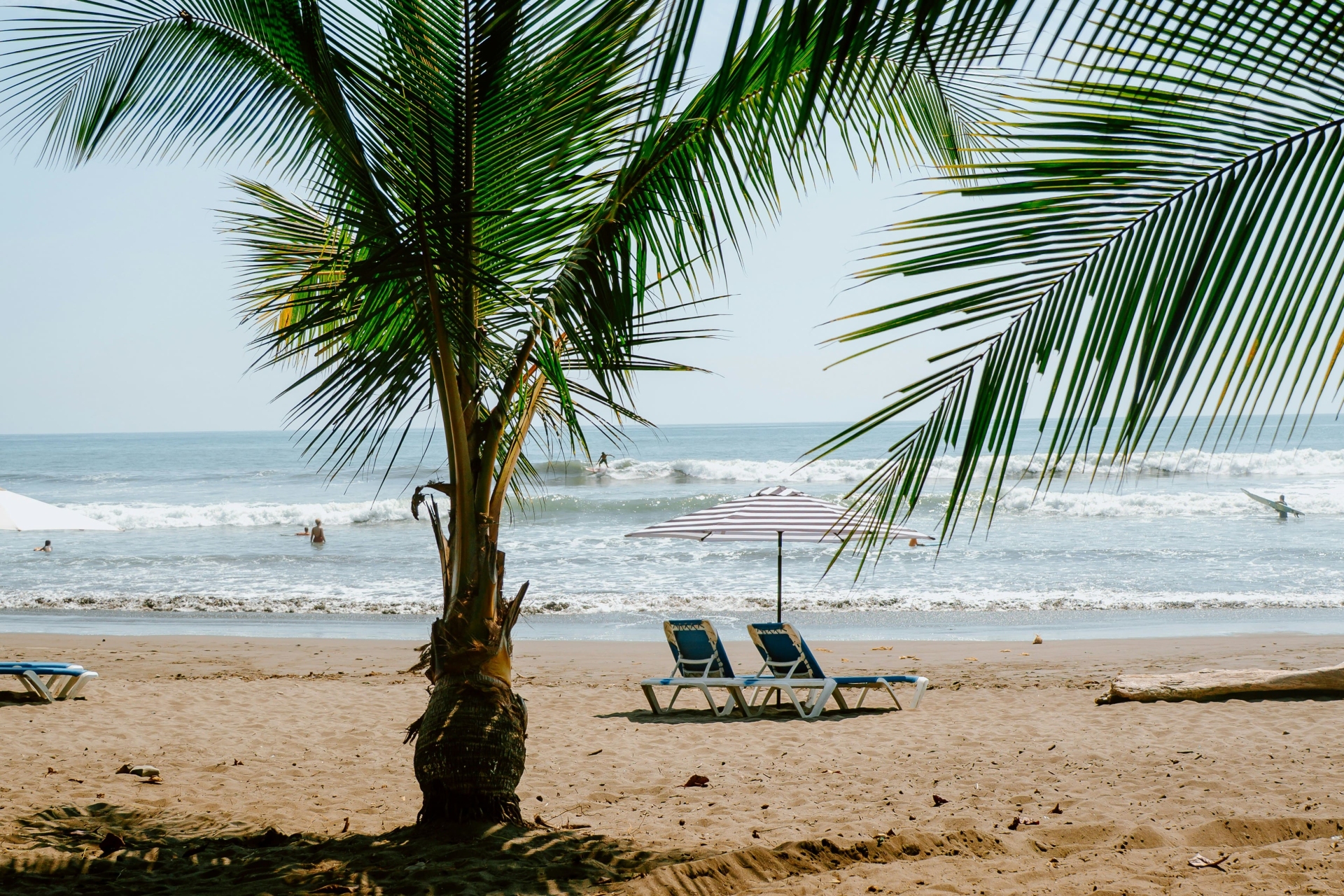 Plage, transat, cocotier, détente