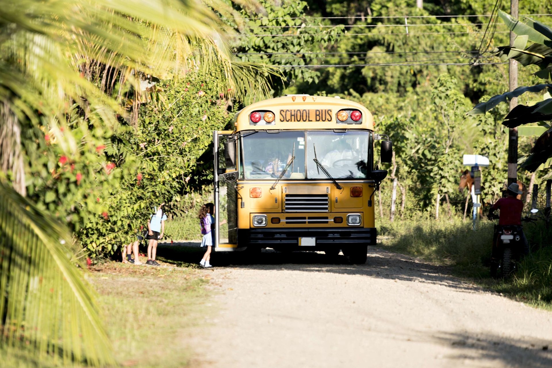 bus-scolaire-au-costa-rica
