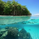 eau-turquoise-caraibes