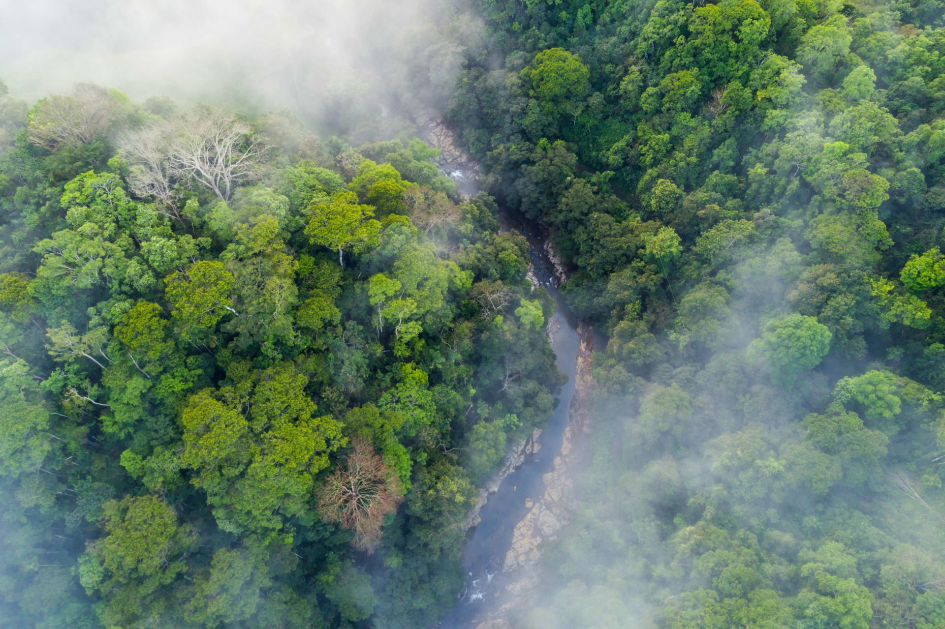 foret-tropicale-et-riviere-costa-rica