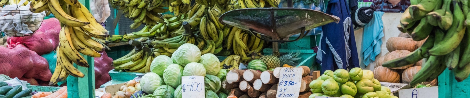 fruits-et-legumes-marche-san-jose