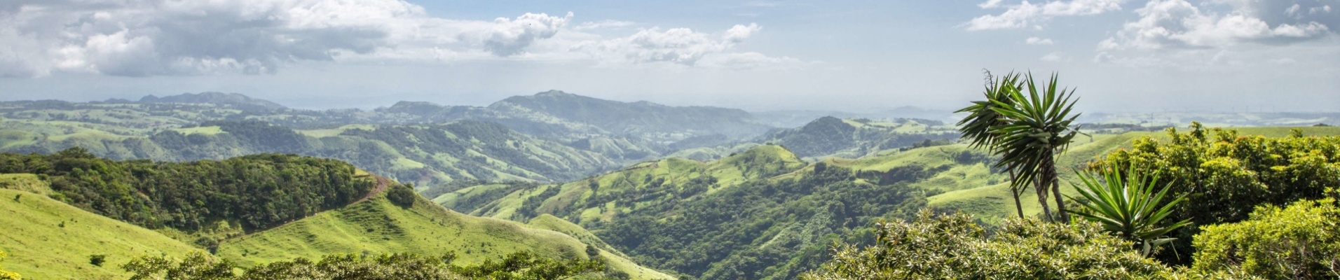 monteverde-paysage-costa-rica