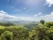 monteverde-paysage-costa-rica