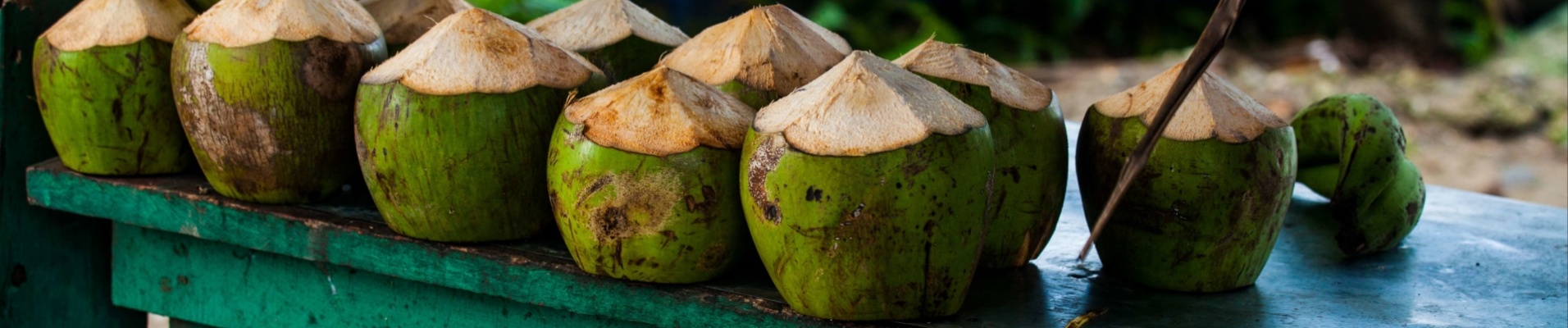 noix-de-coco-a-boire