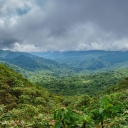 parc-monte-verde-costa-rica