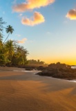 parc-national-corcovado-osa-peninsule