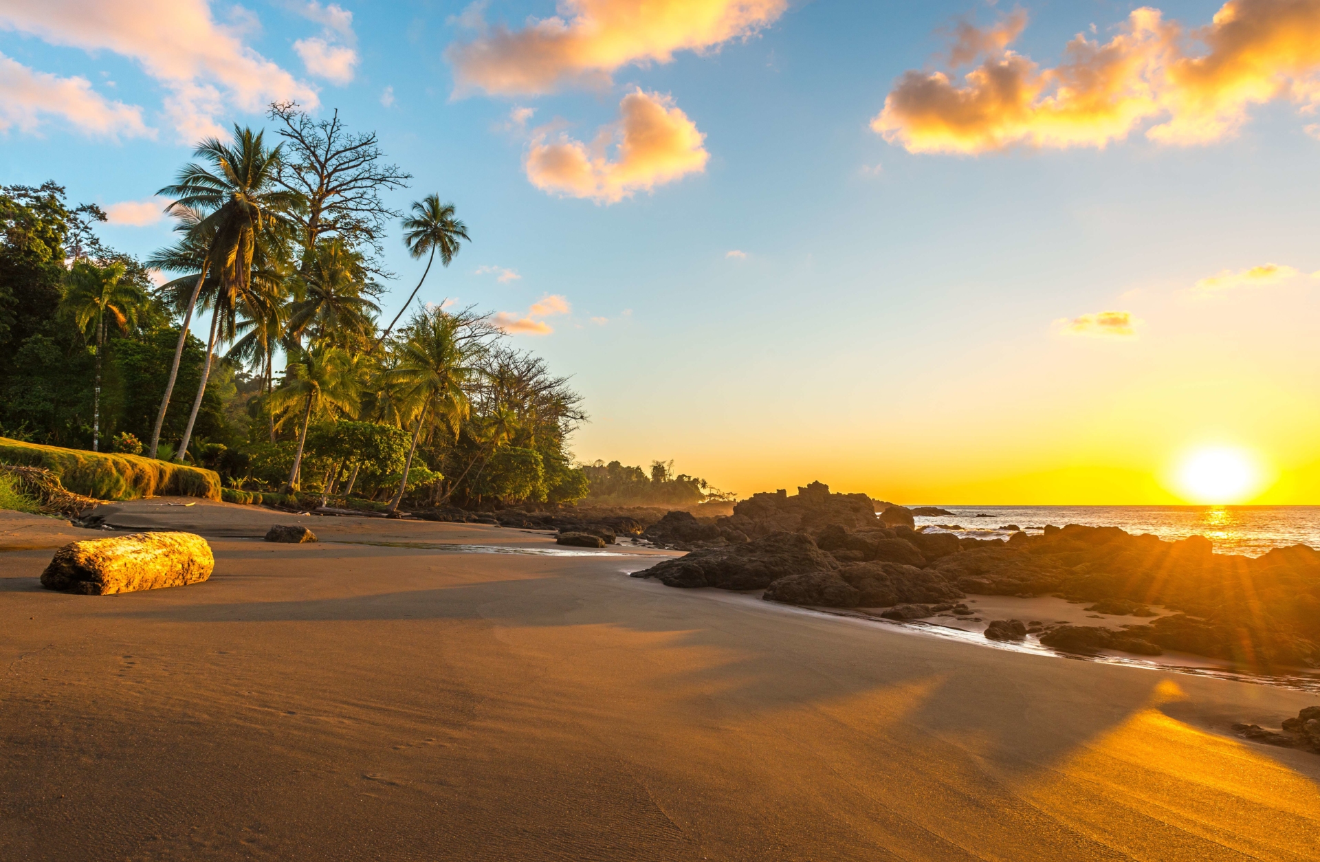 parc-national-corcovado-osa-peninsule