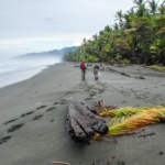 Immersion nature au Costa Rica
