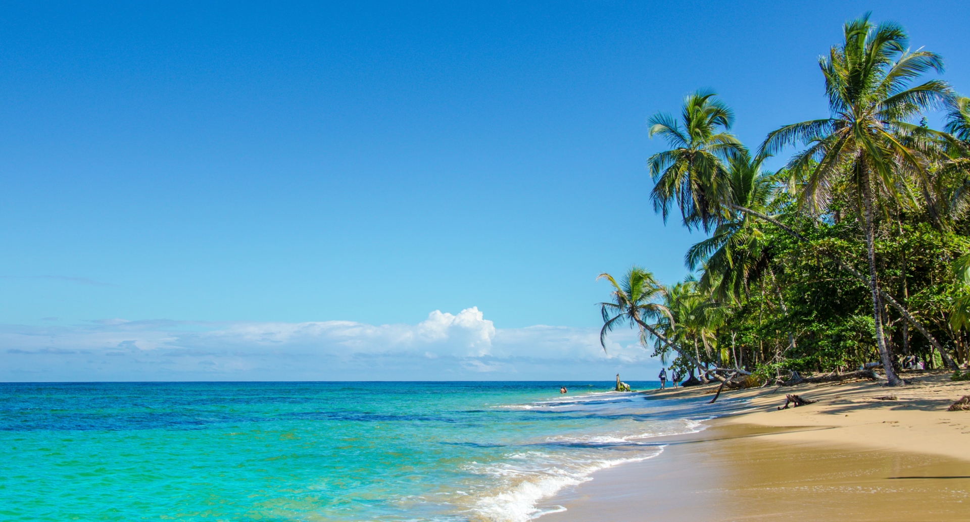 plage-caraibes-puerto-viejo