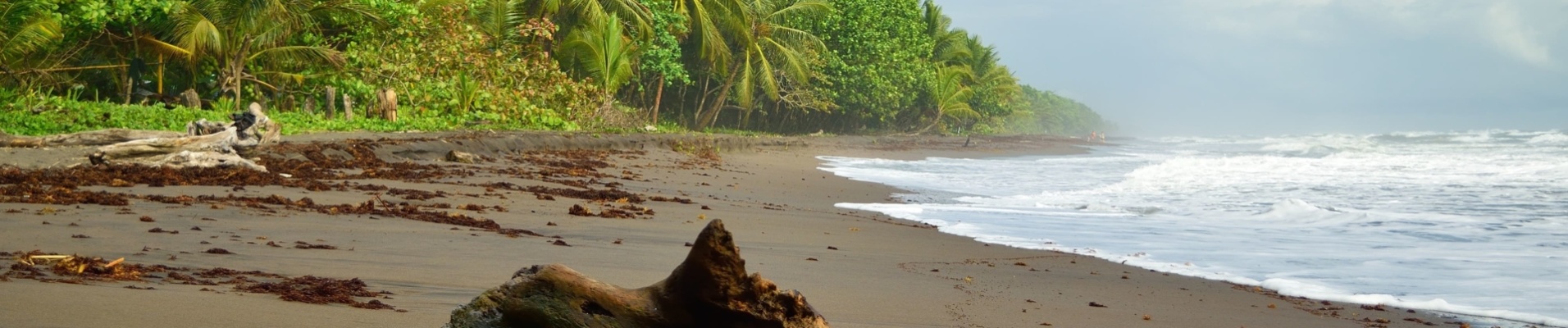 plage-caraibes-tortuguero