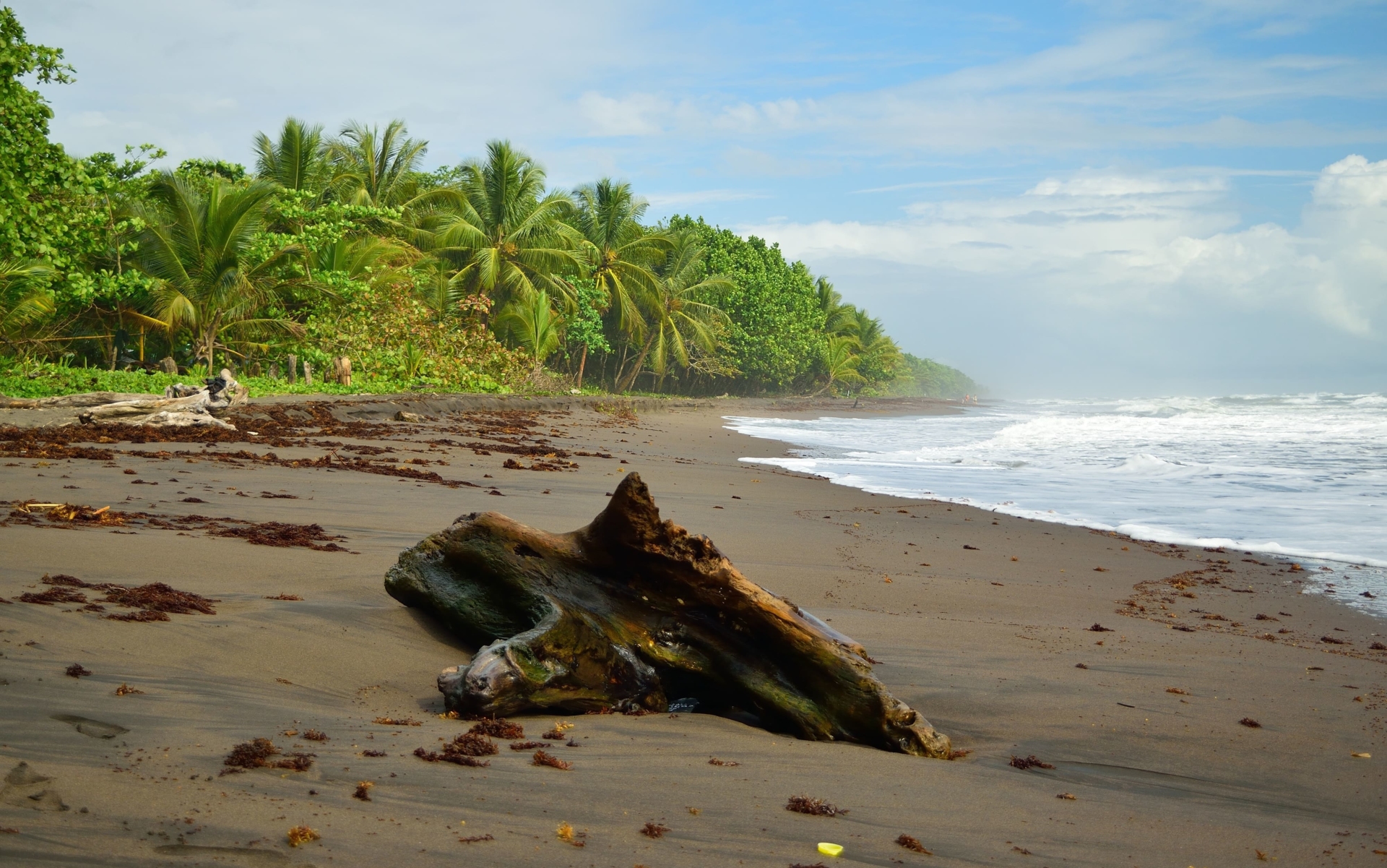 plage-caraibes-tortuguero