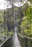 pont-suspendu-sarapiqui