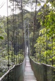 pont-suspendu-sarapiqui