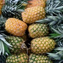 production-ananas- costa-rica
