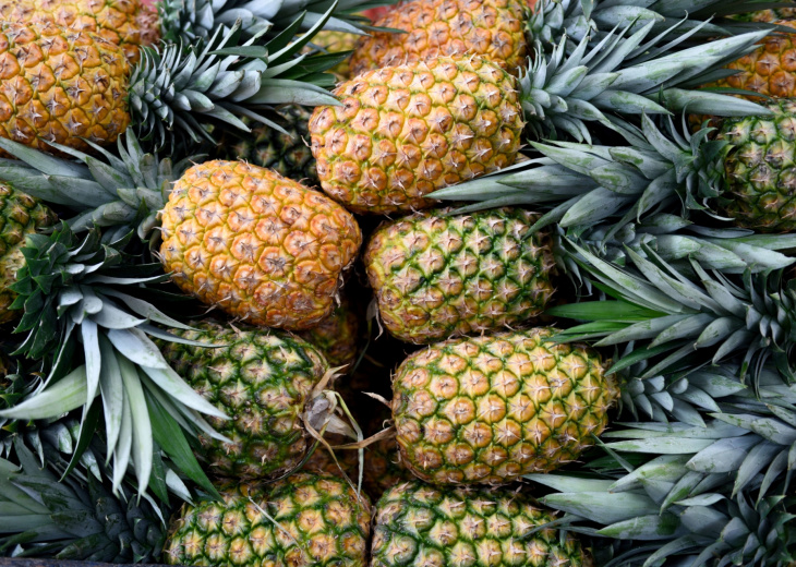production-ananas- costa-rica