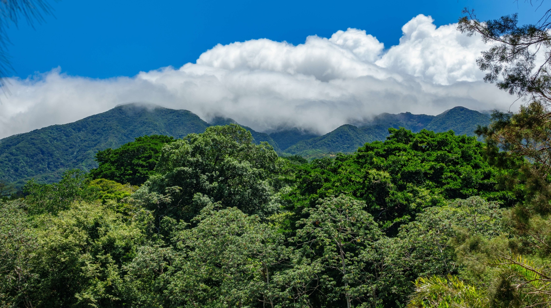 rincon-de-la-vieja-parc