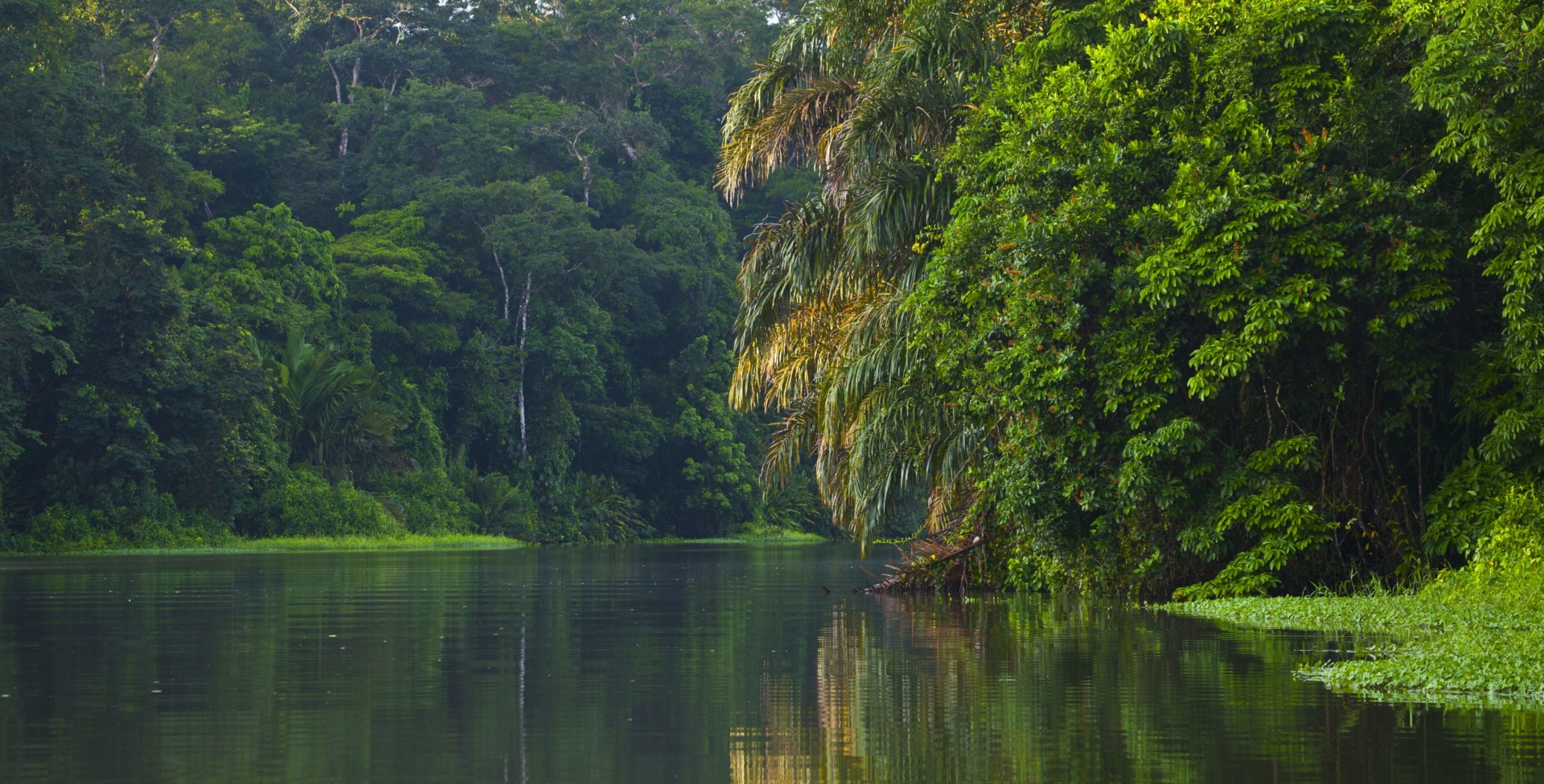 riviere-a-tortuguero