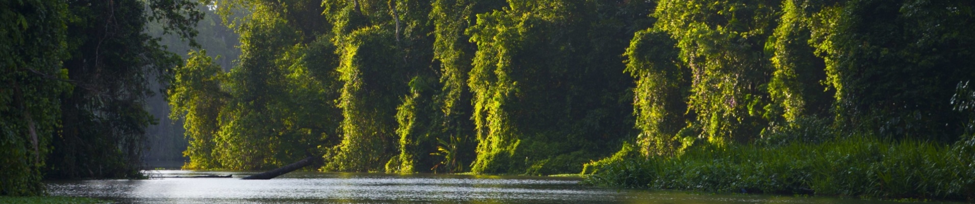 riviere-tortuguero-costa-rica