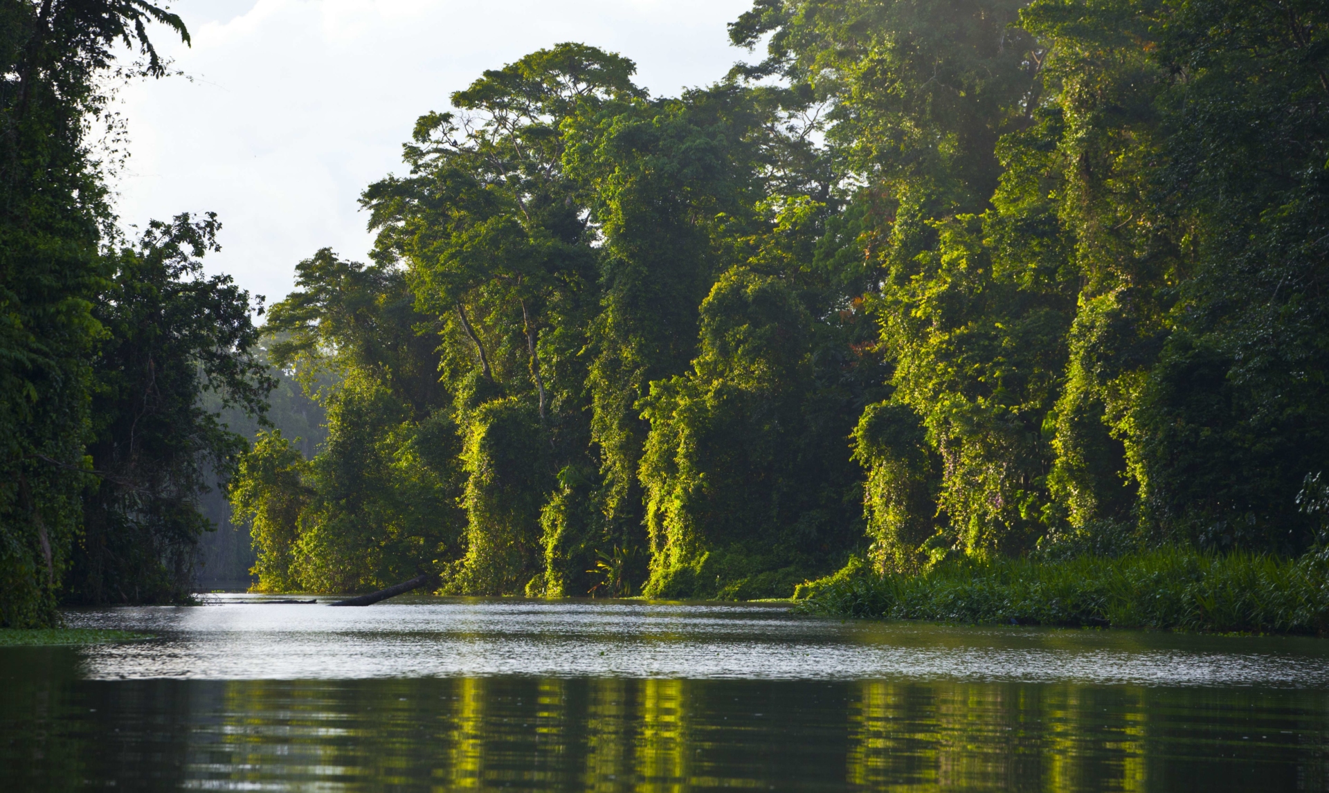riviere-tortuguero-costa-rica