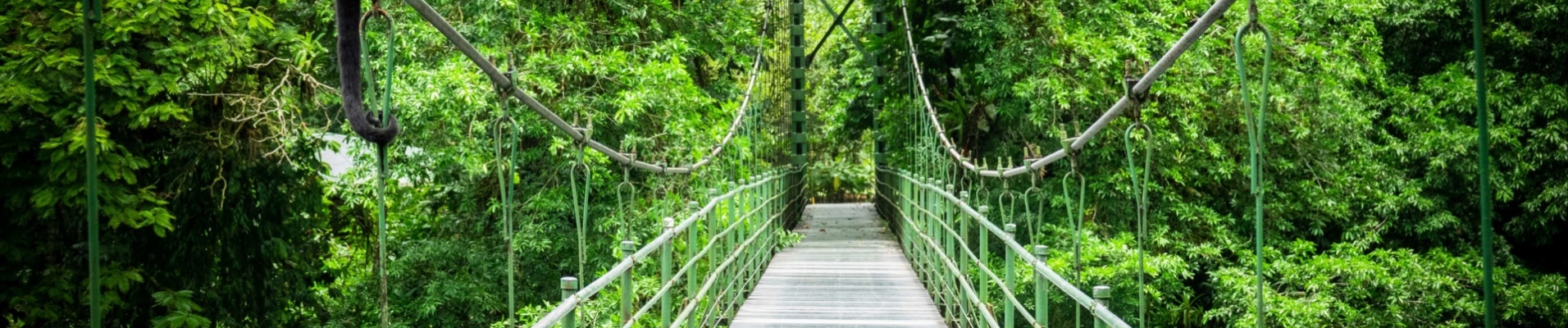 sarapiqui-pont-dans-la-jungle