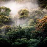 Immersion nature au Costa Rica