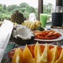 plateau-fruits-costa-rica