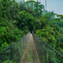 Pont suspendu dans le parc Arenal au Costa Rica