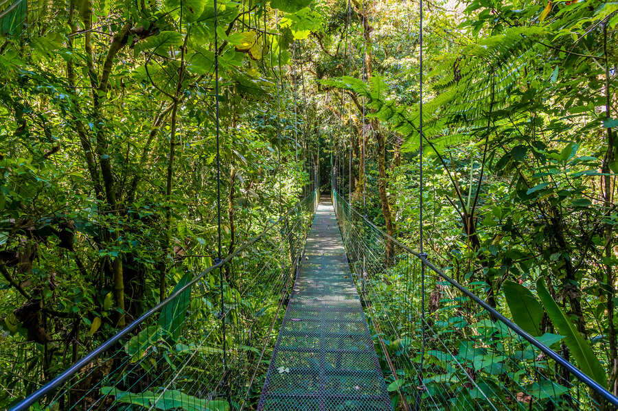 pont-suspendu-costa-rica