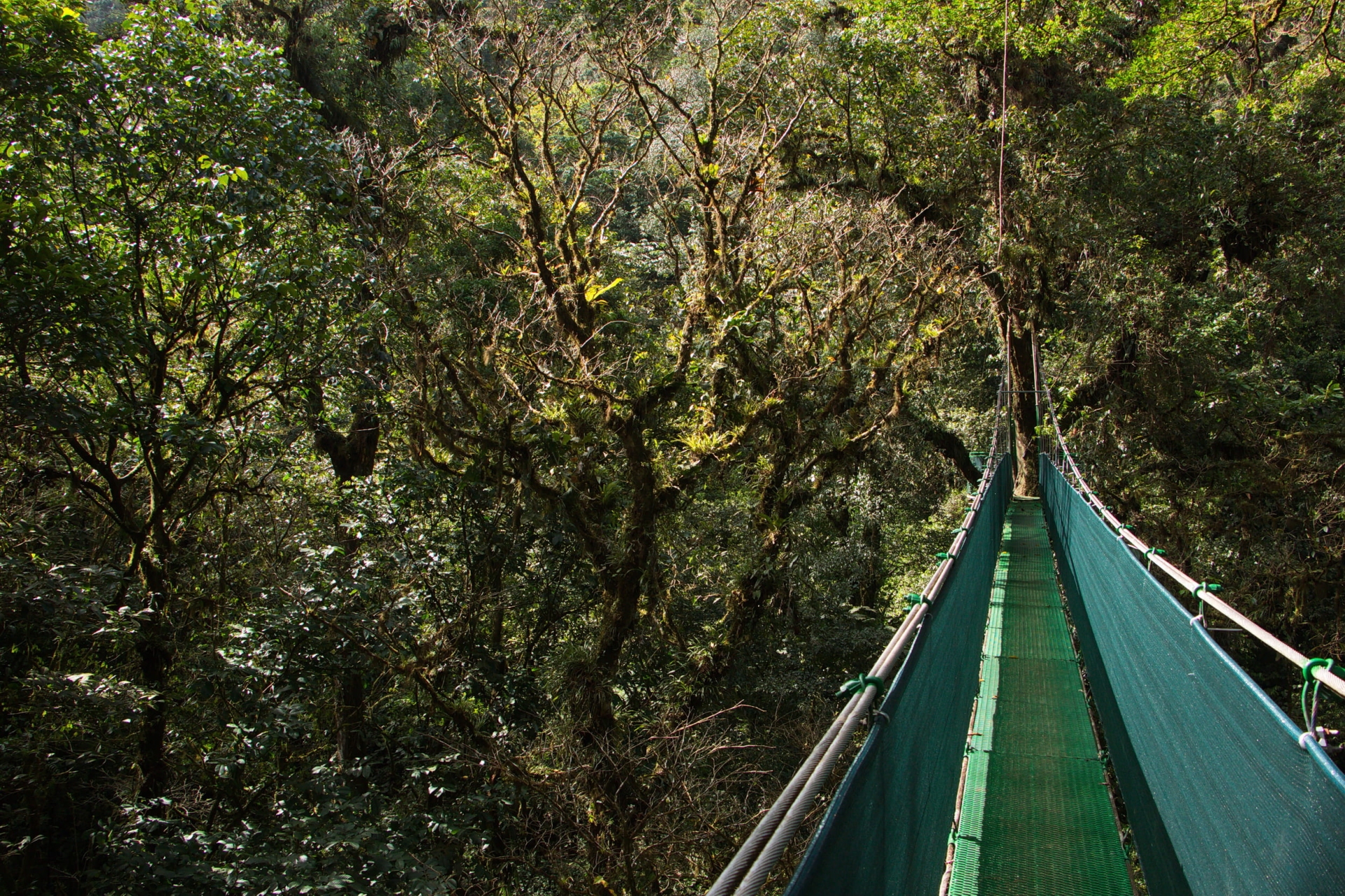 pont-suspendu-costa-rica