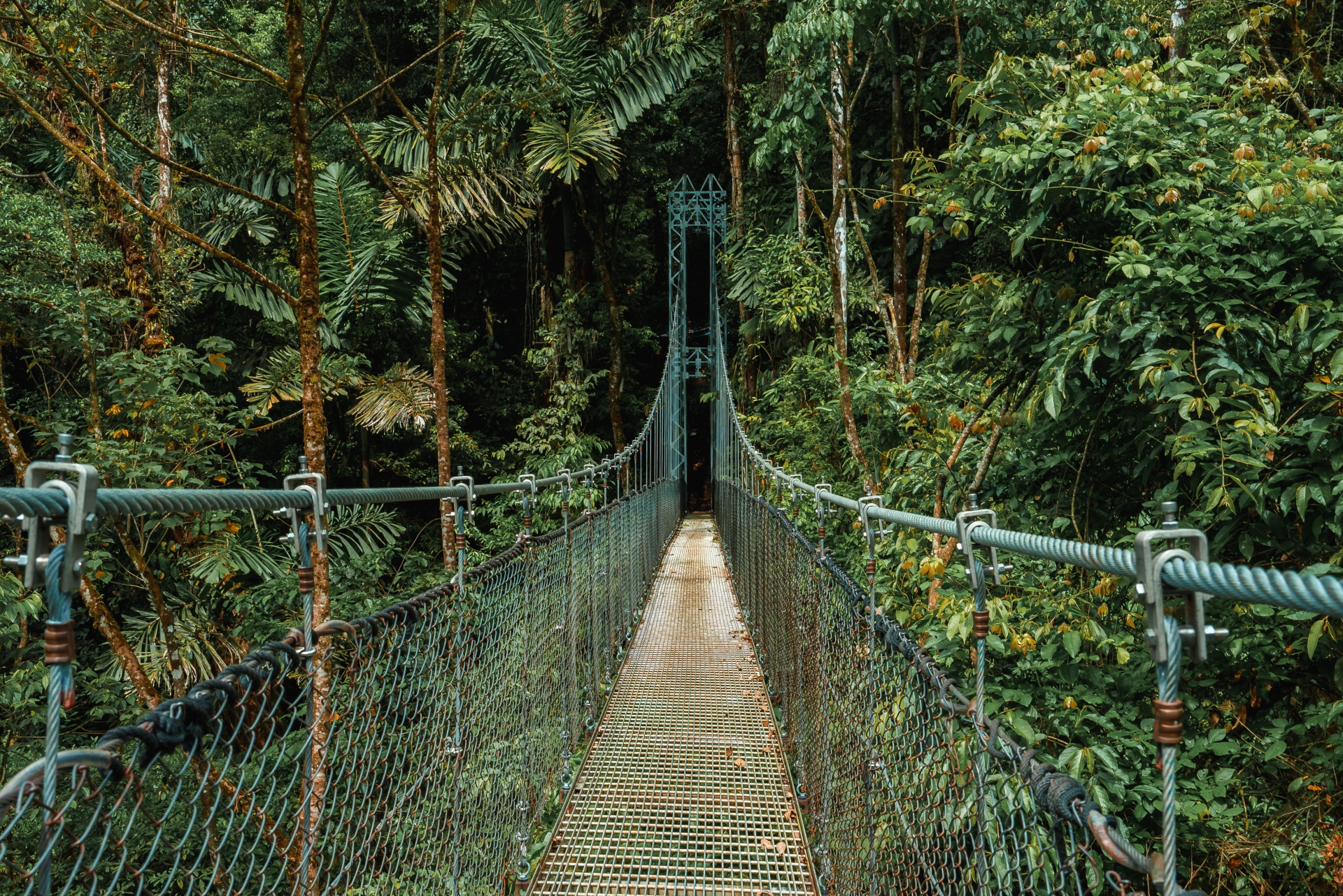 pont suspendu monteverde